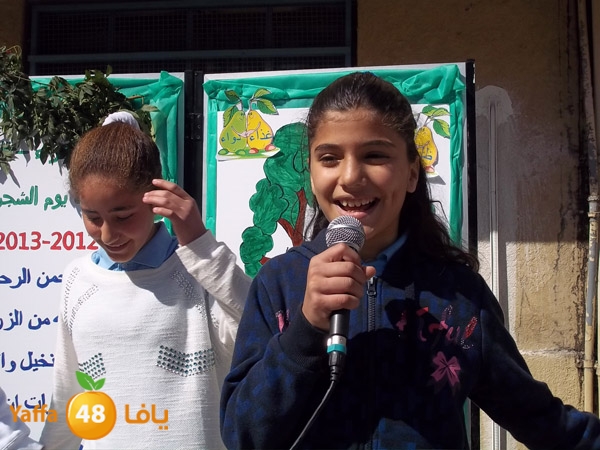 treesnewzahra2 (28).jpg